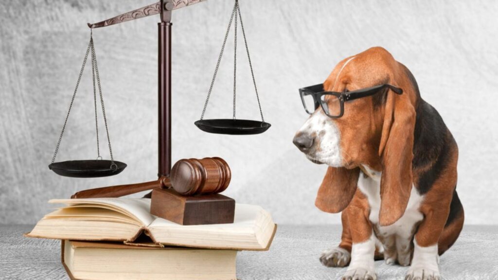 Animal Welfare Law