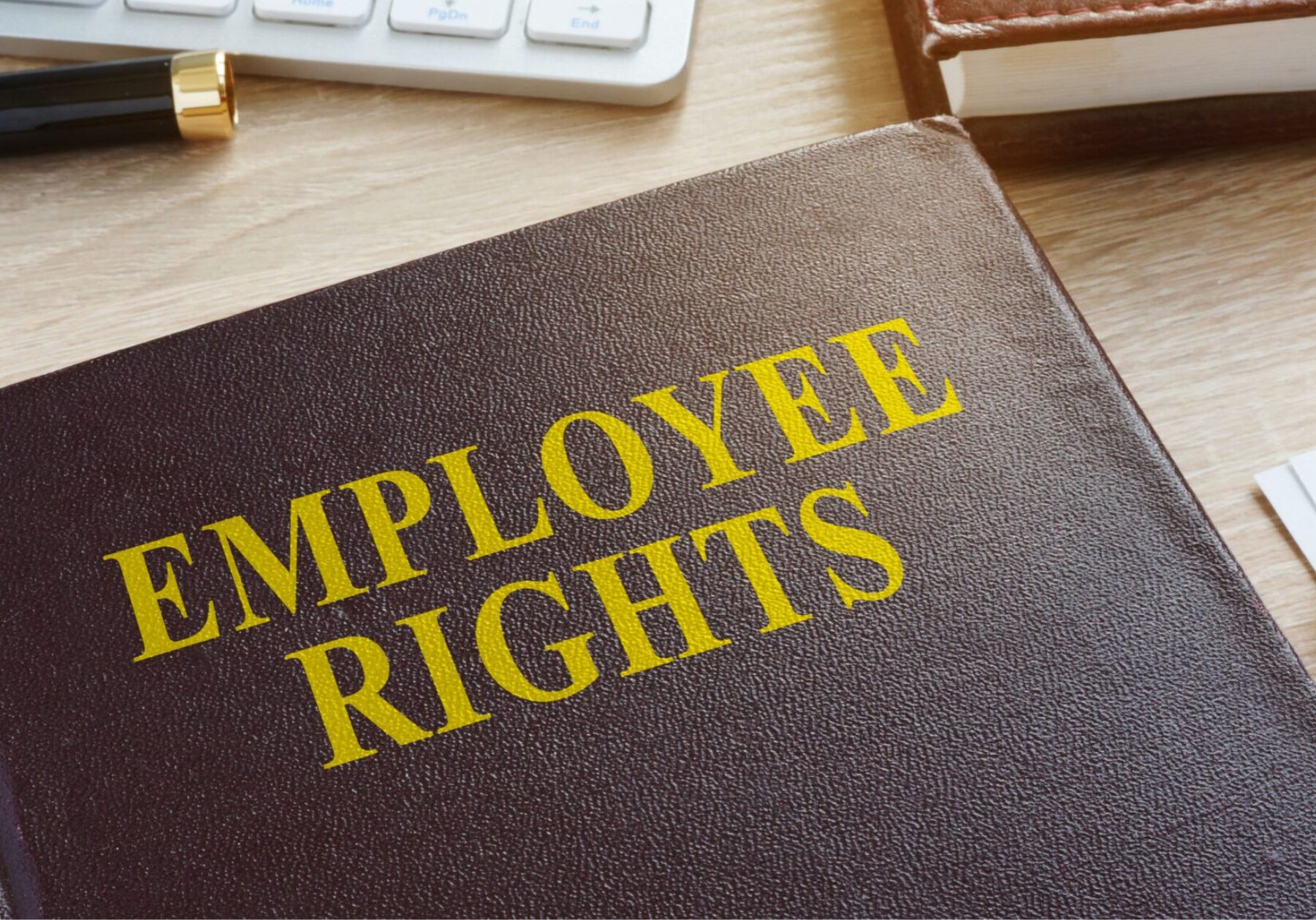 Employment Rights in Cork