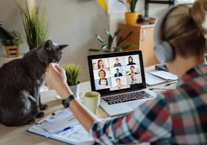 Person on video call with cat nearby.
