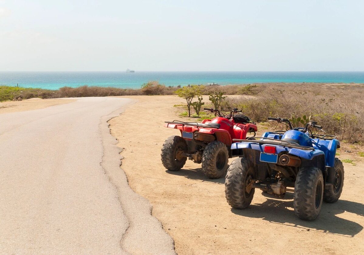 Two ATVs parked by coastal road.