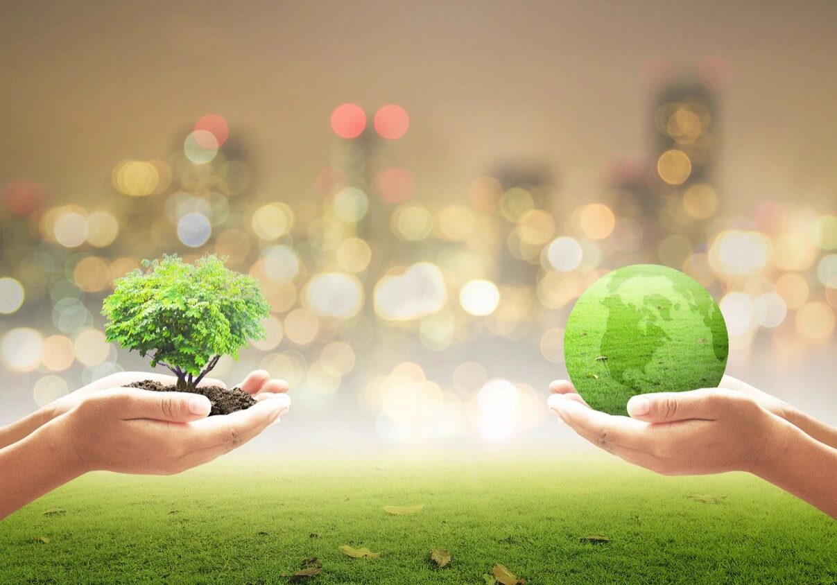 Hands holding tree and green globe.